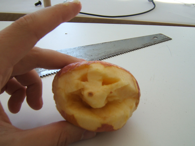 apple02.jpg