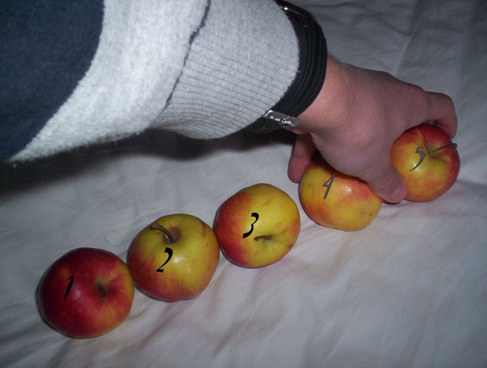 apples hand.jpg