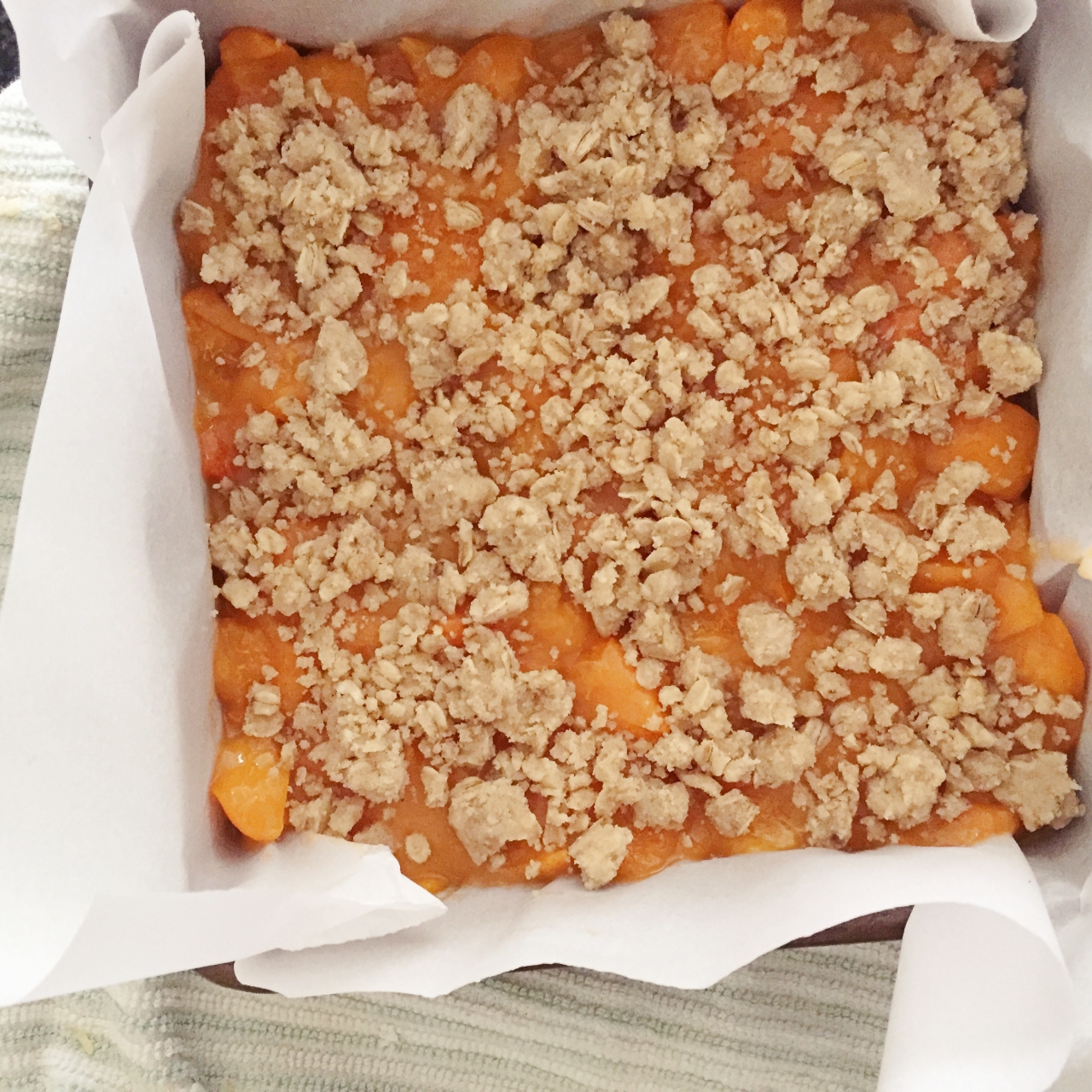 apricot and oats.jpg