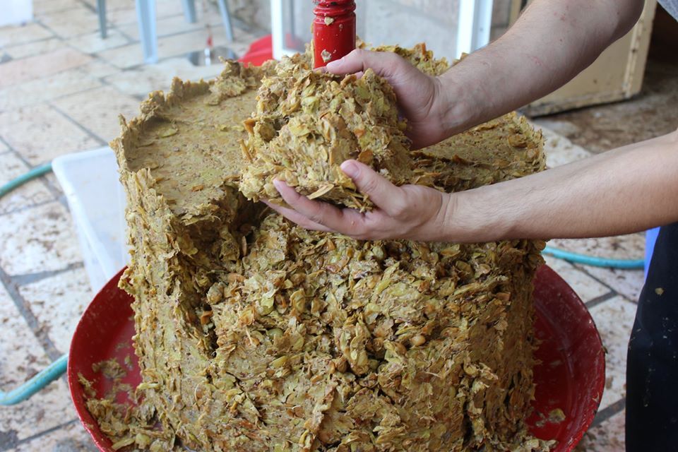 arak_muaddi.jpg