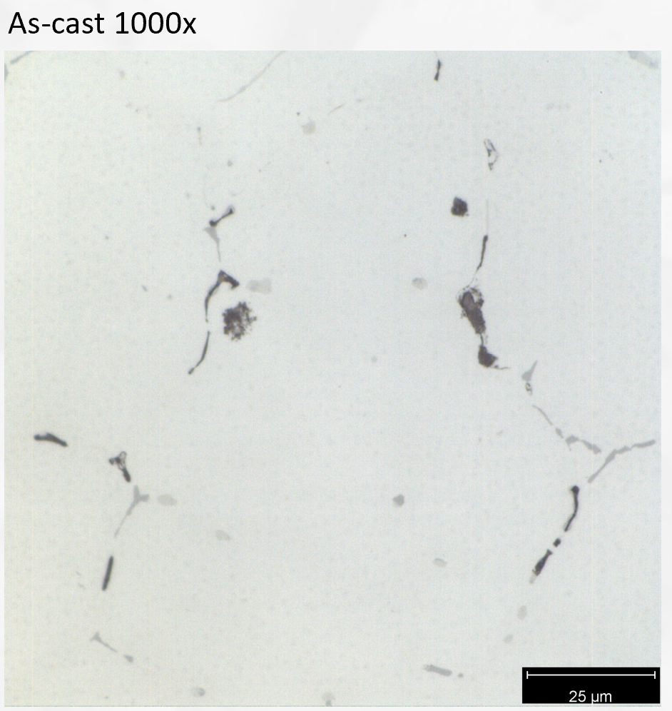 as-cast micrograph1000x.png