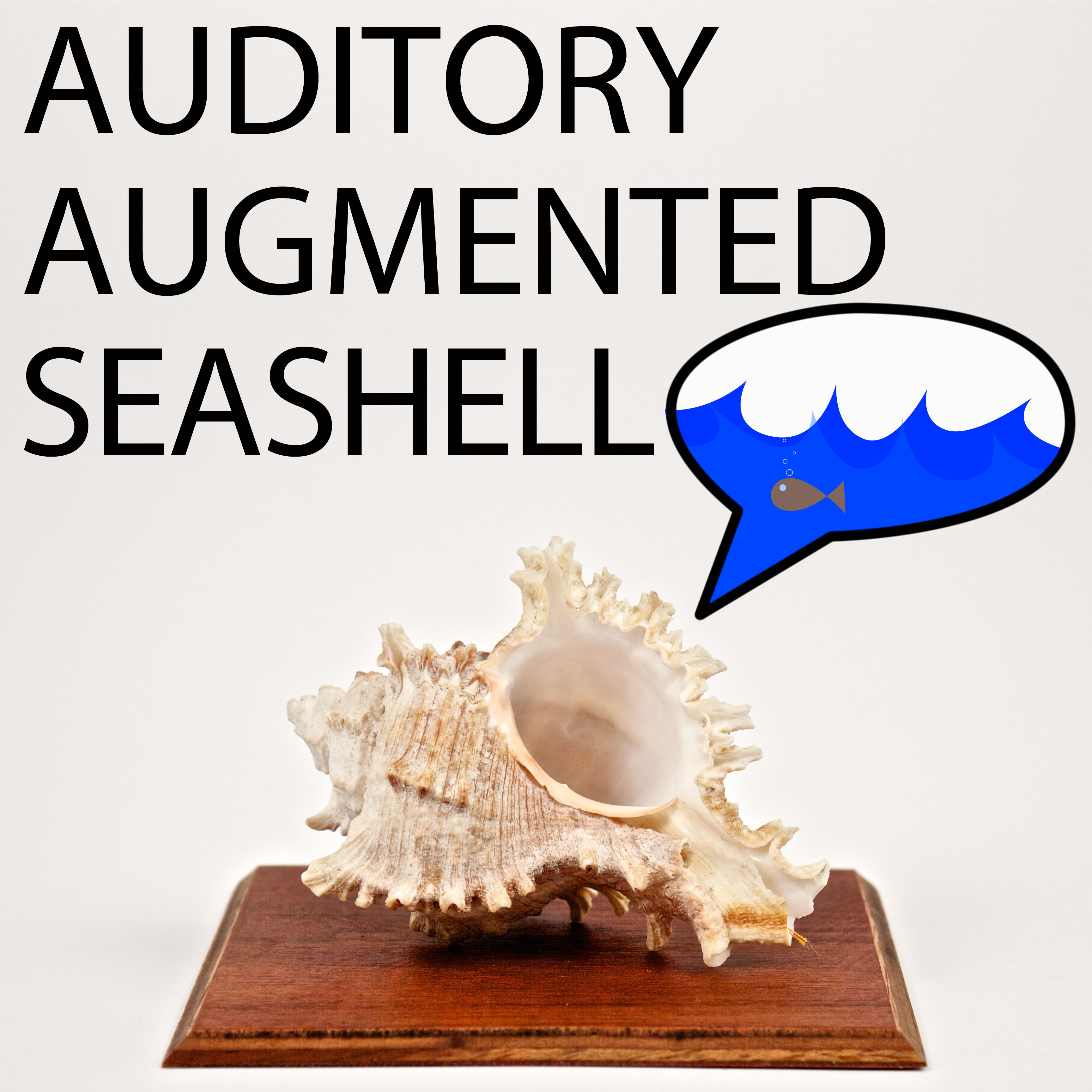 auditoryaugmentedseashell square2.jpg