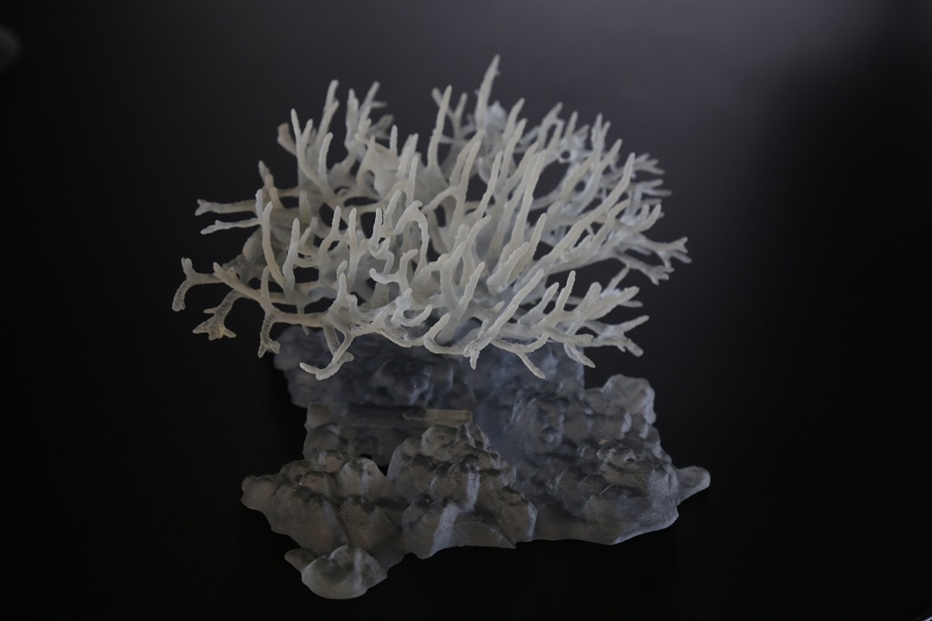 autodesk coral.jpg