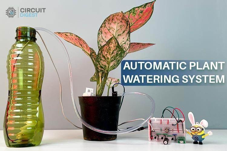 automatic-plant-watering-system.jpg