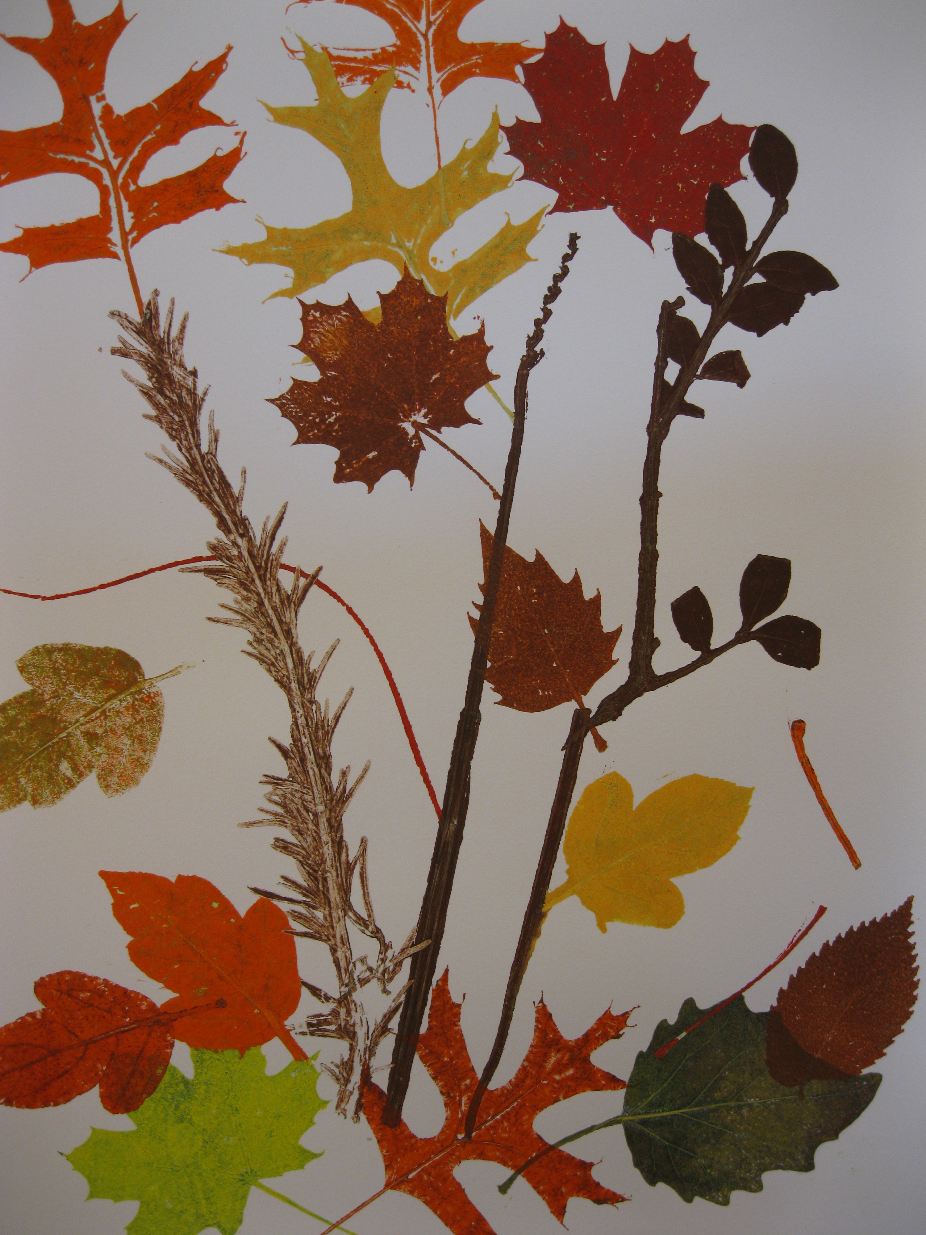 autumn.jpg