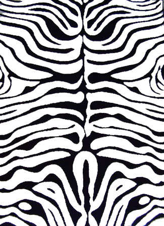 avatar zebra.jpg