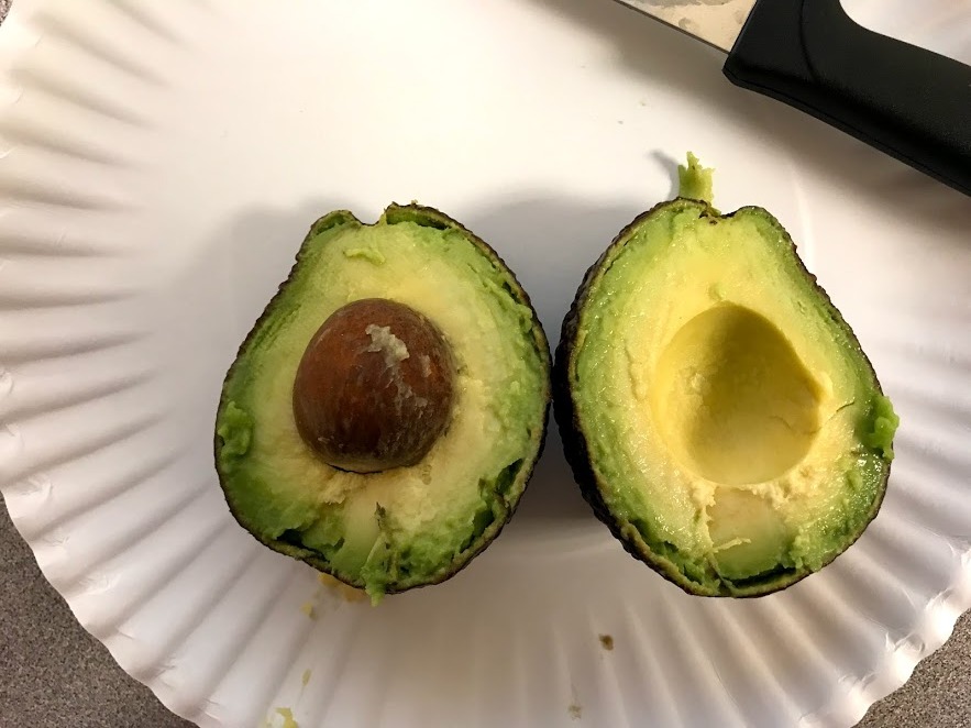 avocado1.jpg