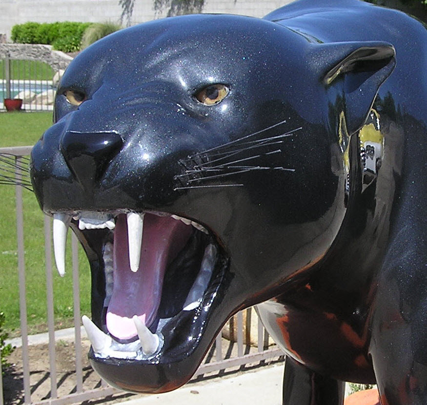b-43a done face.jpg