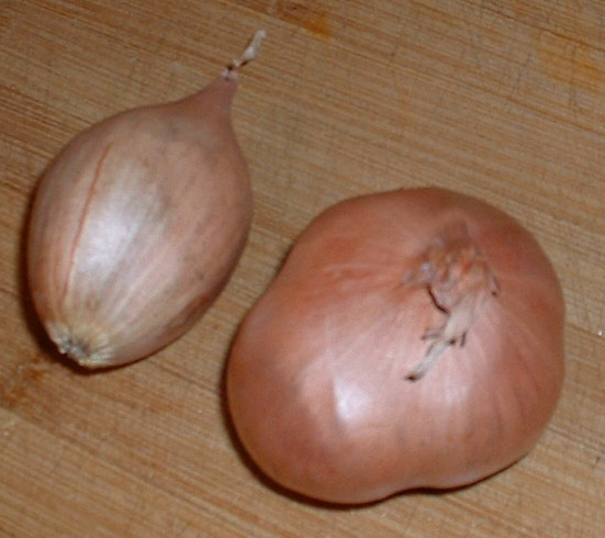 b01_shallots_shallots.jpg