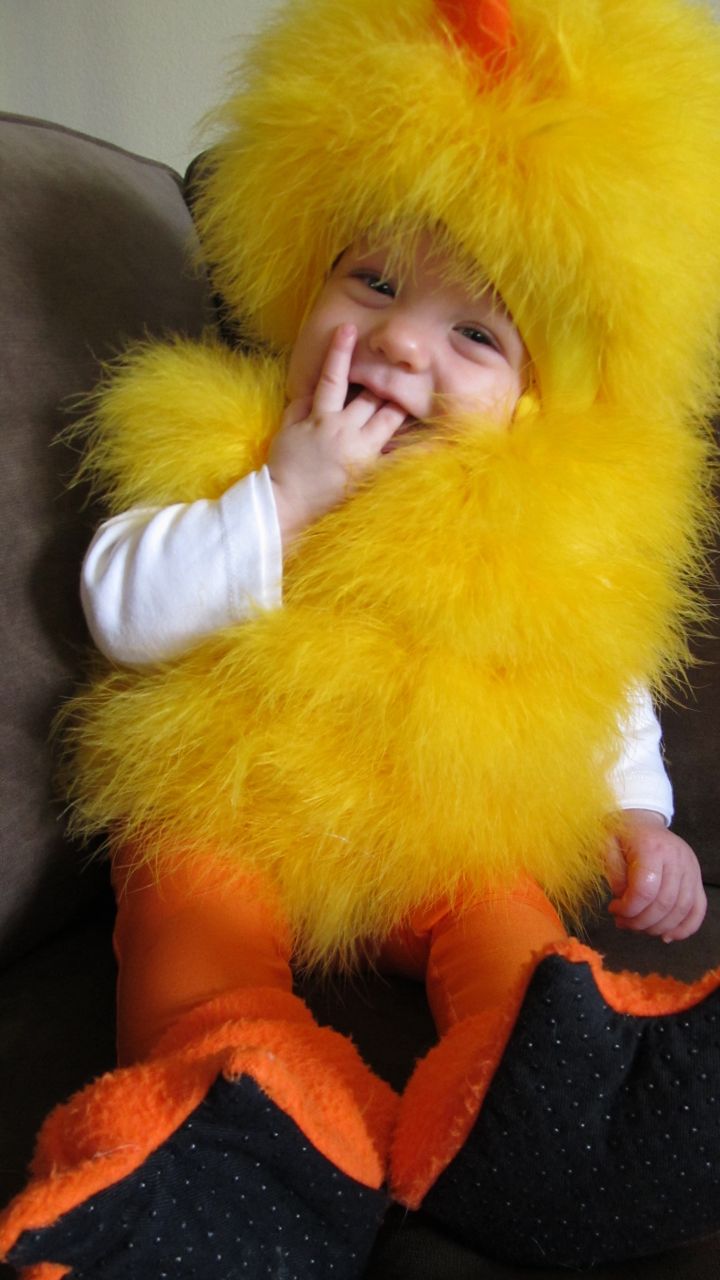 babychic.jpg