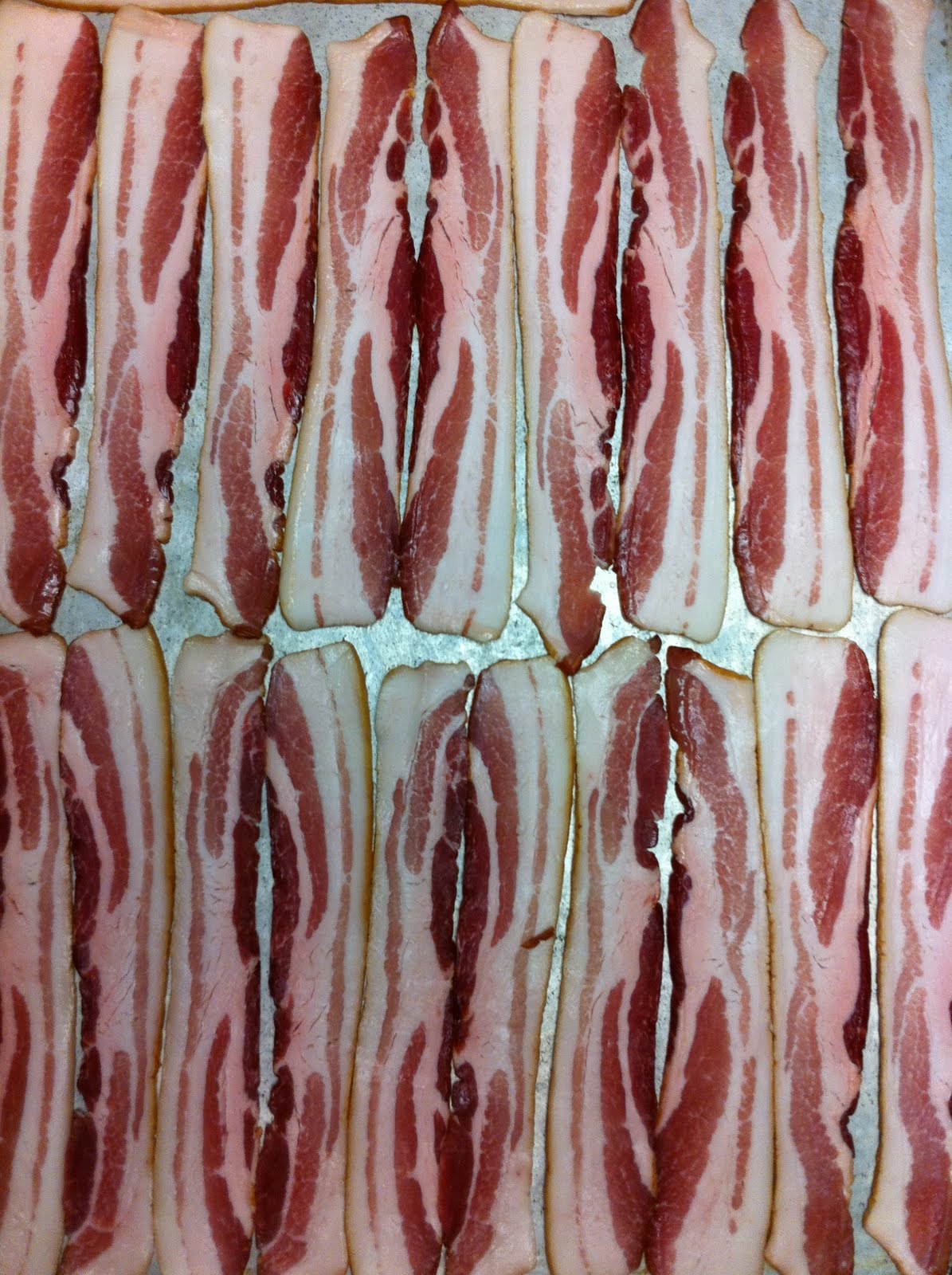 bacon wallpaper.JPG