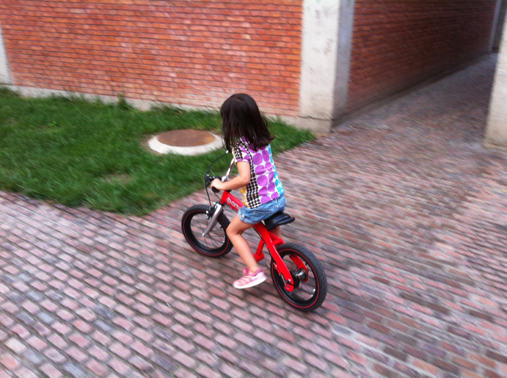 balance_bike_conv012.JPG