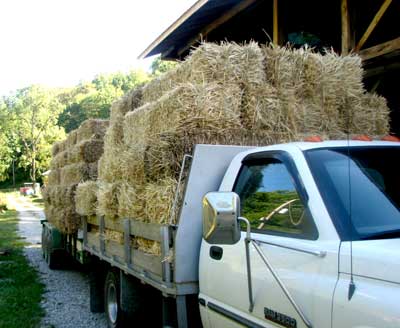 bales-arrive.jpg