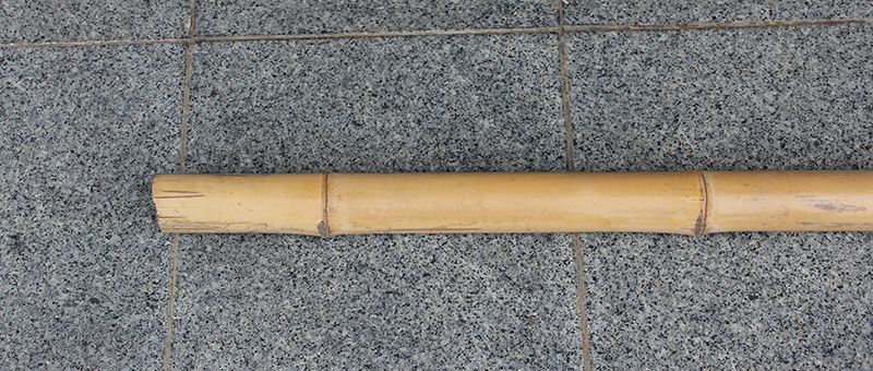 bamboo1.jpg