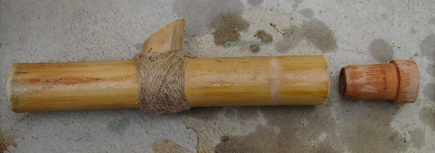 bamboo_plug.JPG