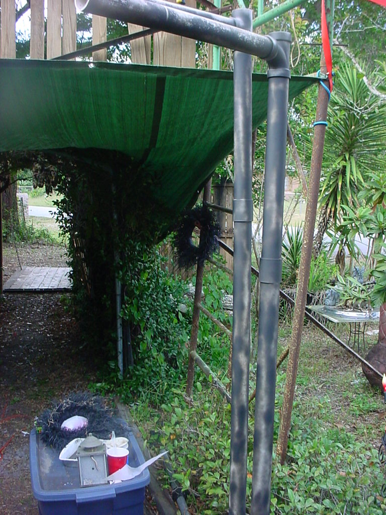 banner (2).jpg