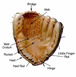 baseballglove.jpg