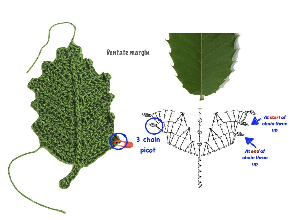 basic leaf crochet.005.jpeg