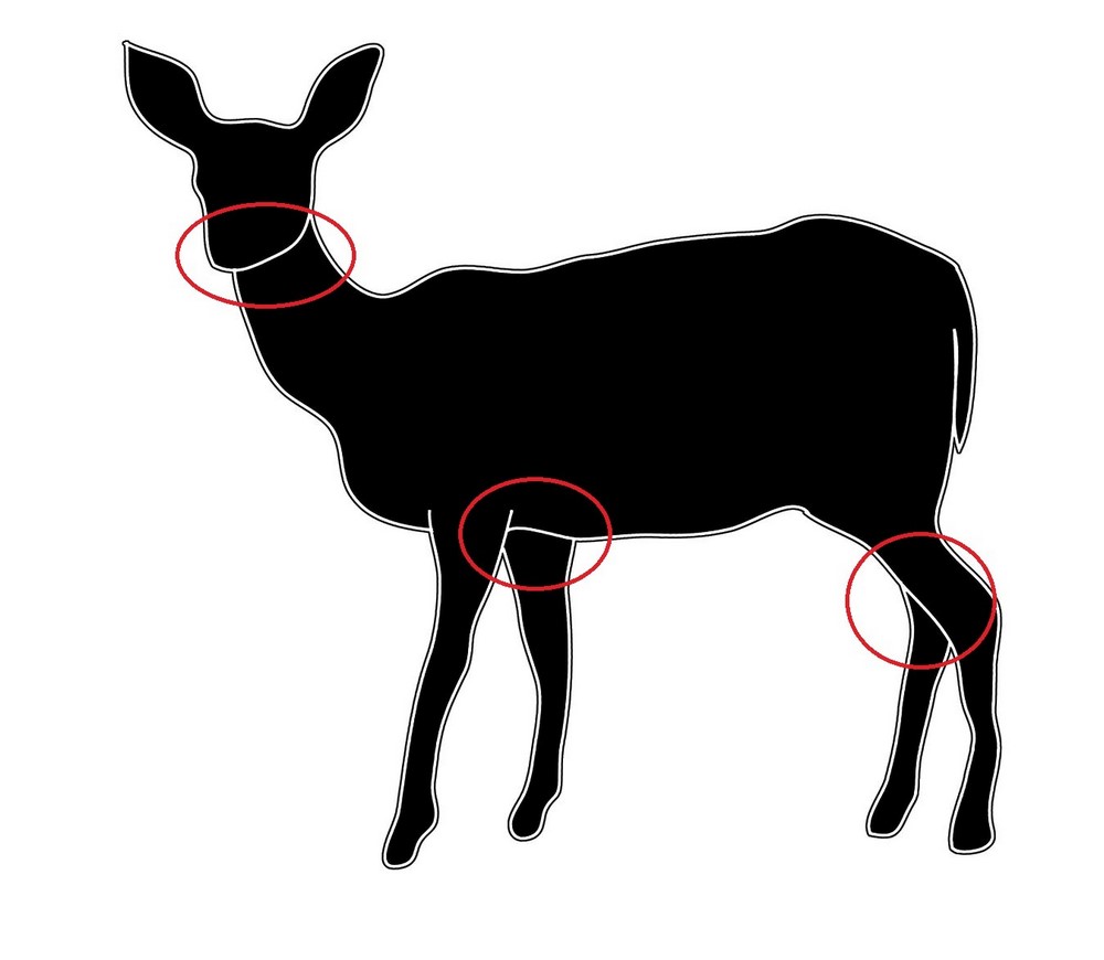 basic-laser-perspex-sheet-animals-deer-1000.jpg