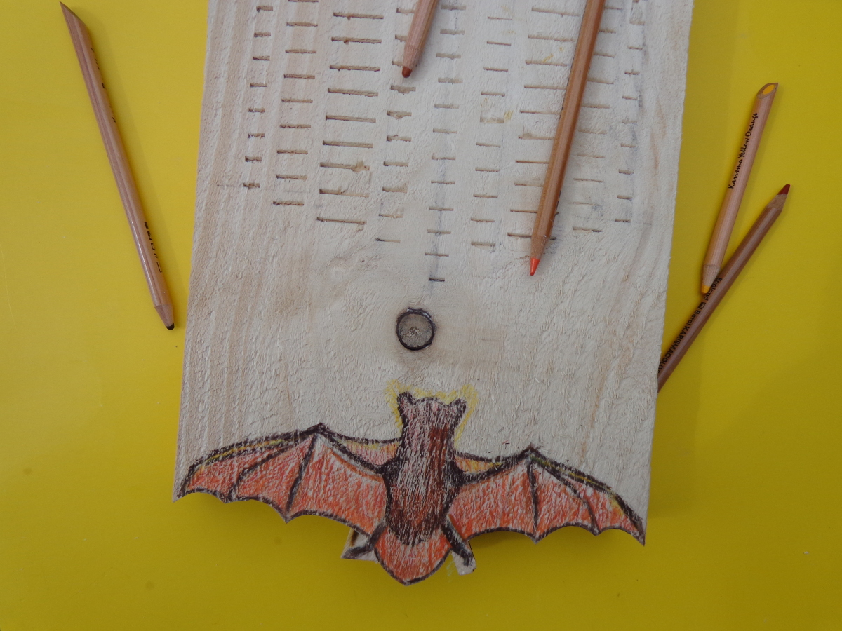 bat_house_cc-by_openproducts_51.jpg