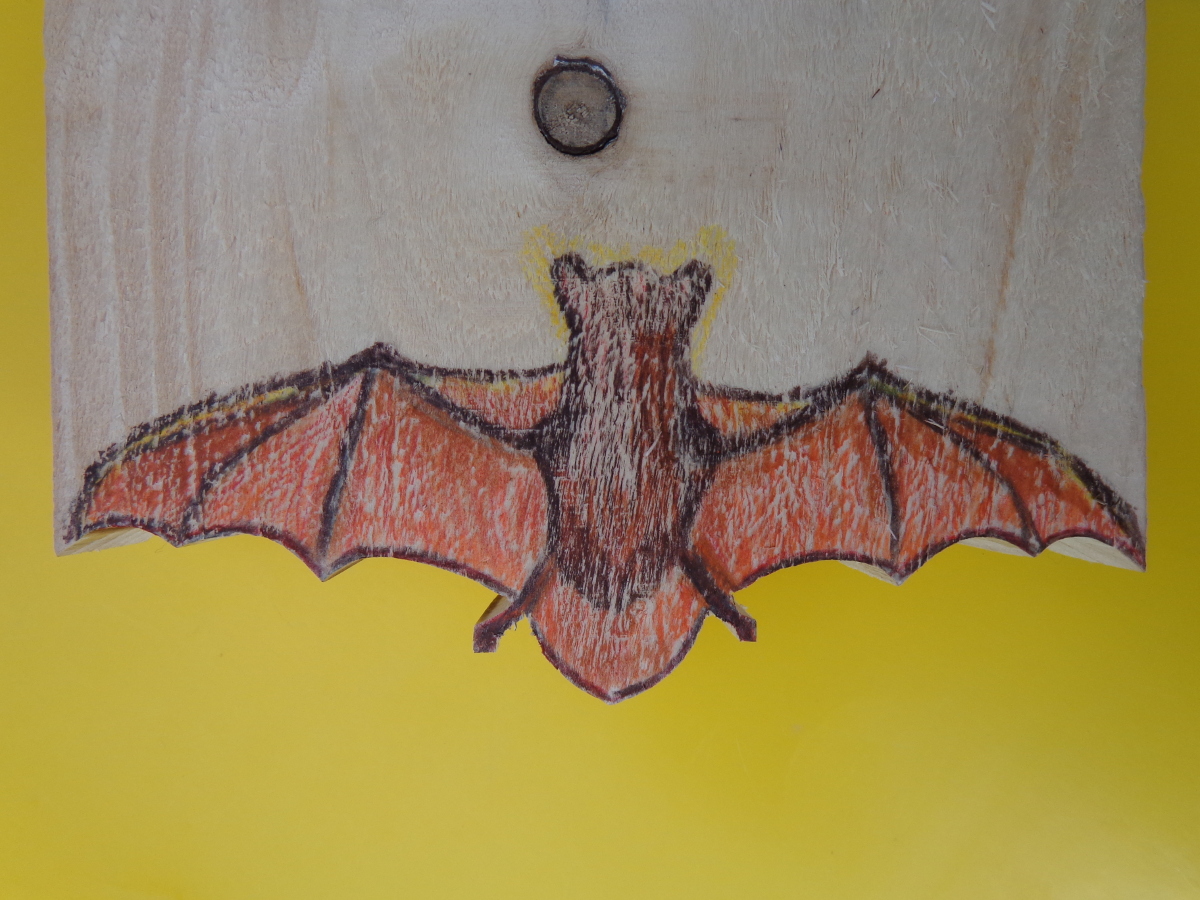 bat_house_cc-by_openproducts_53.jpg