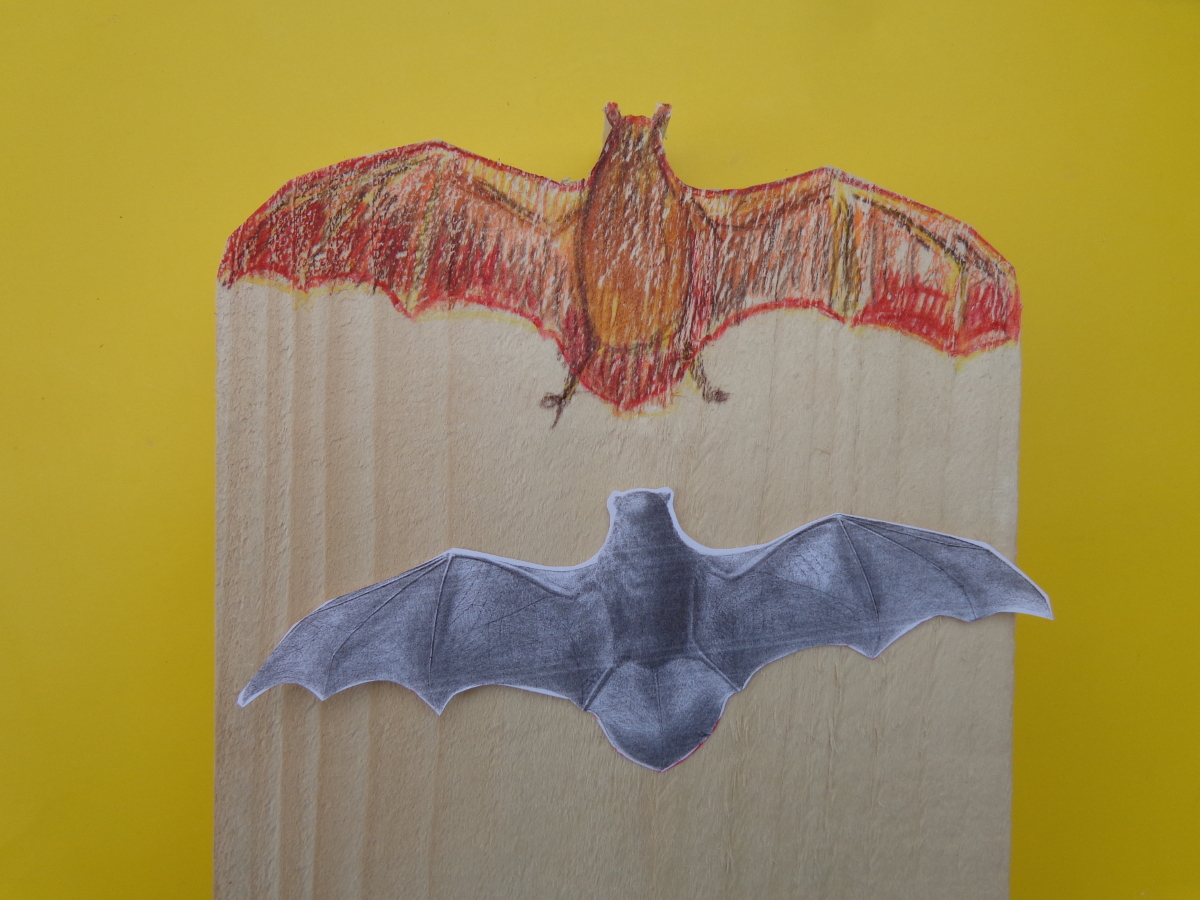 bat_house_cc-by_openproducts_54.jpg