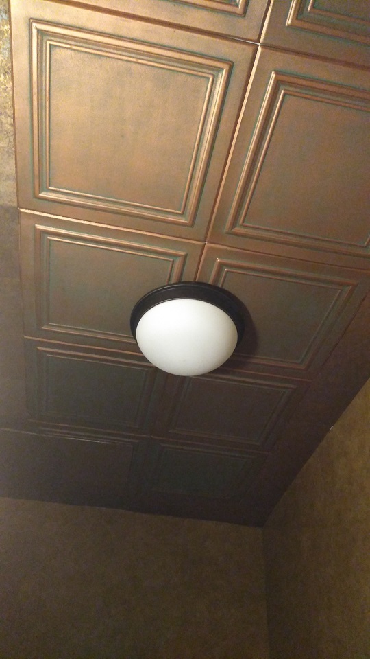 bathroom ceiling.jpg