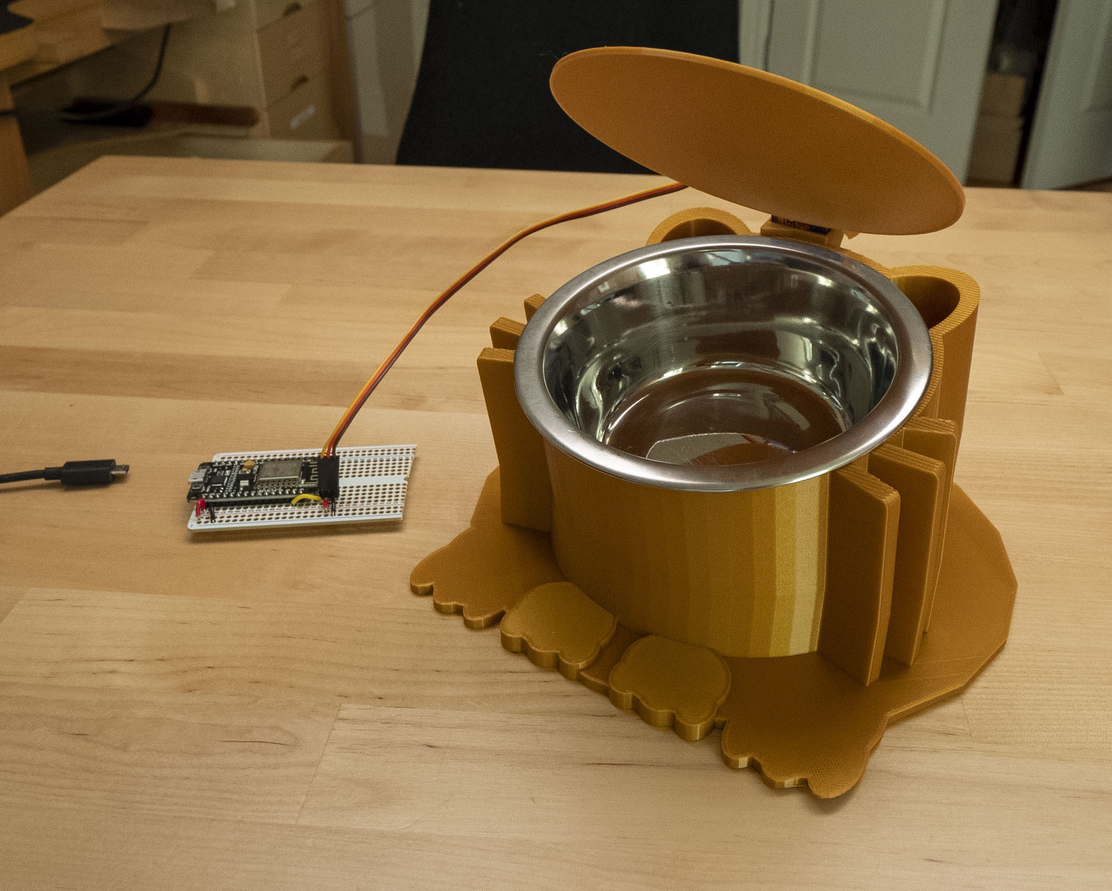becky-stern-cat-bowl-access-05.jpg
