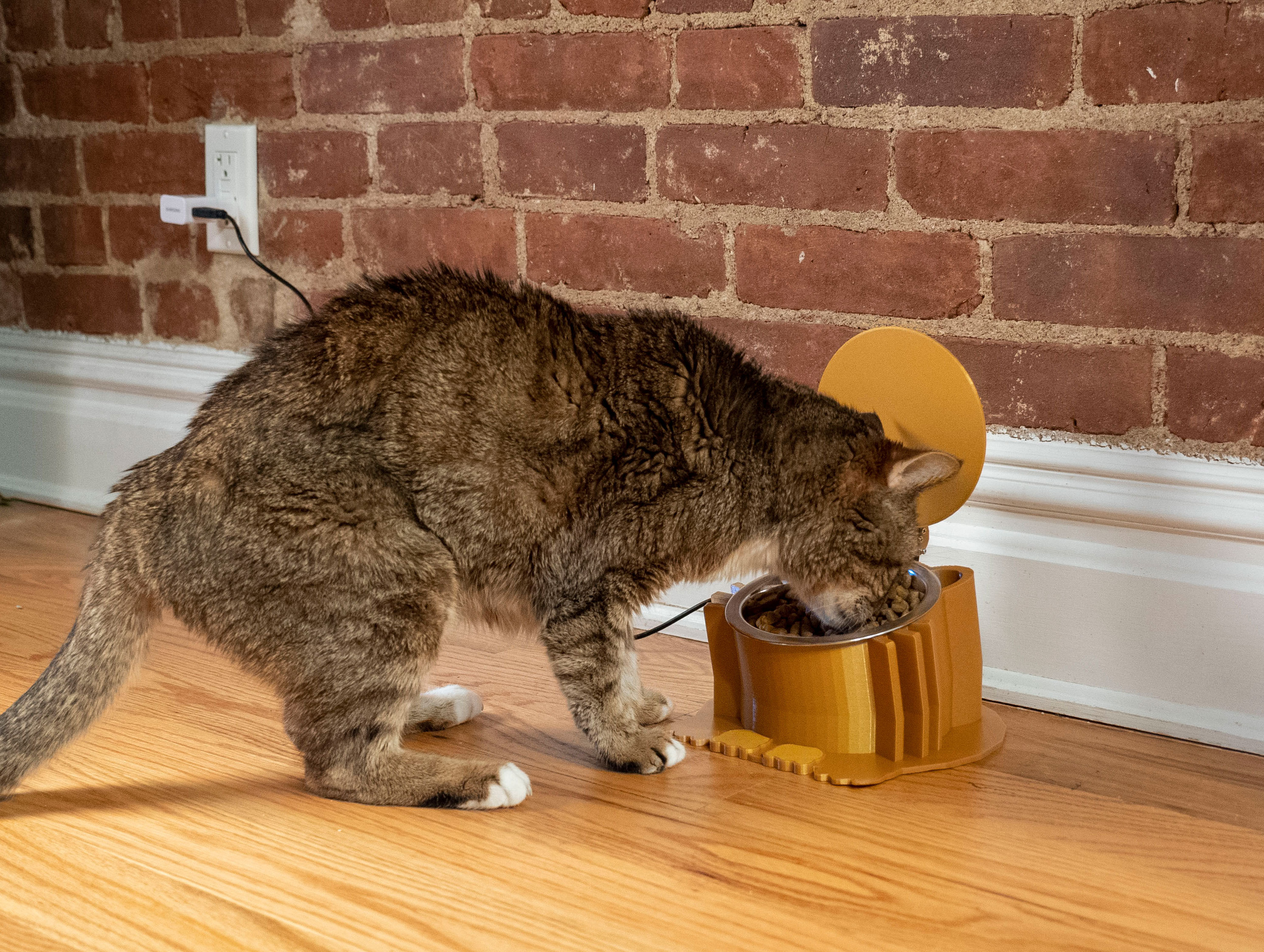 becky-stern-cat-bowl-access-06.jpg