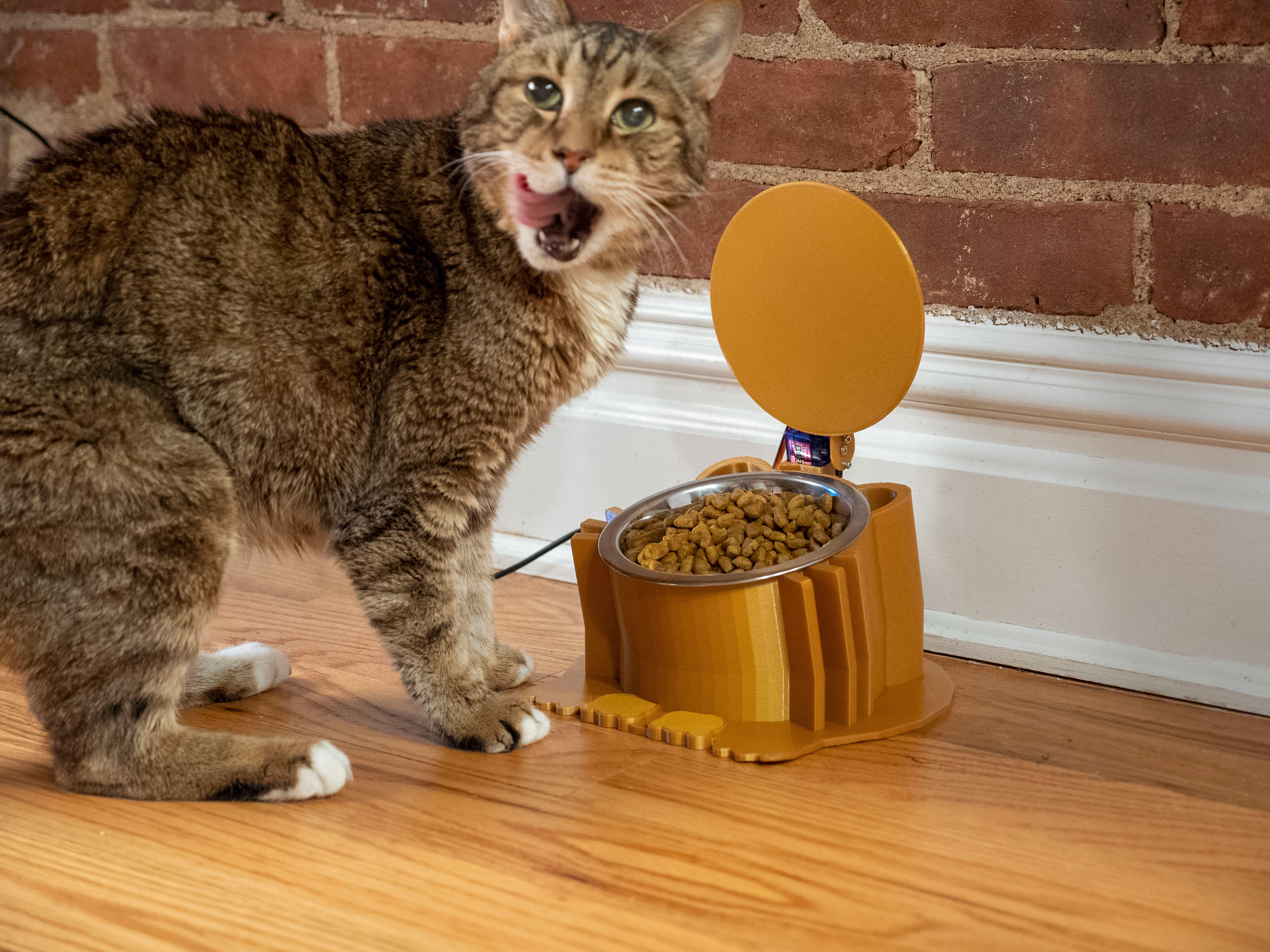 becky-stern-cat-bowl-access-07.jpg