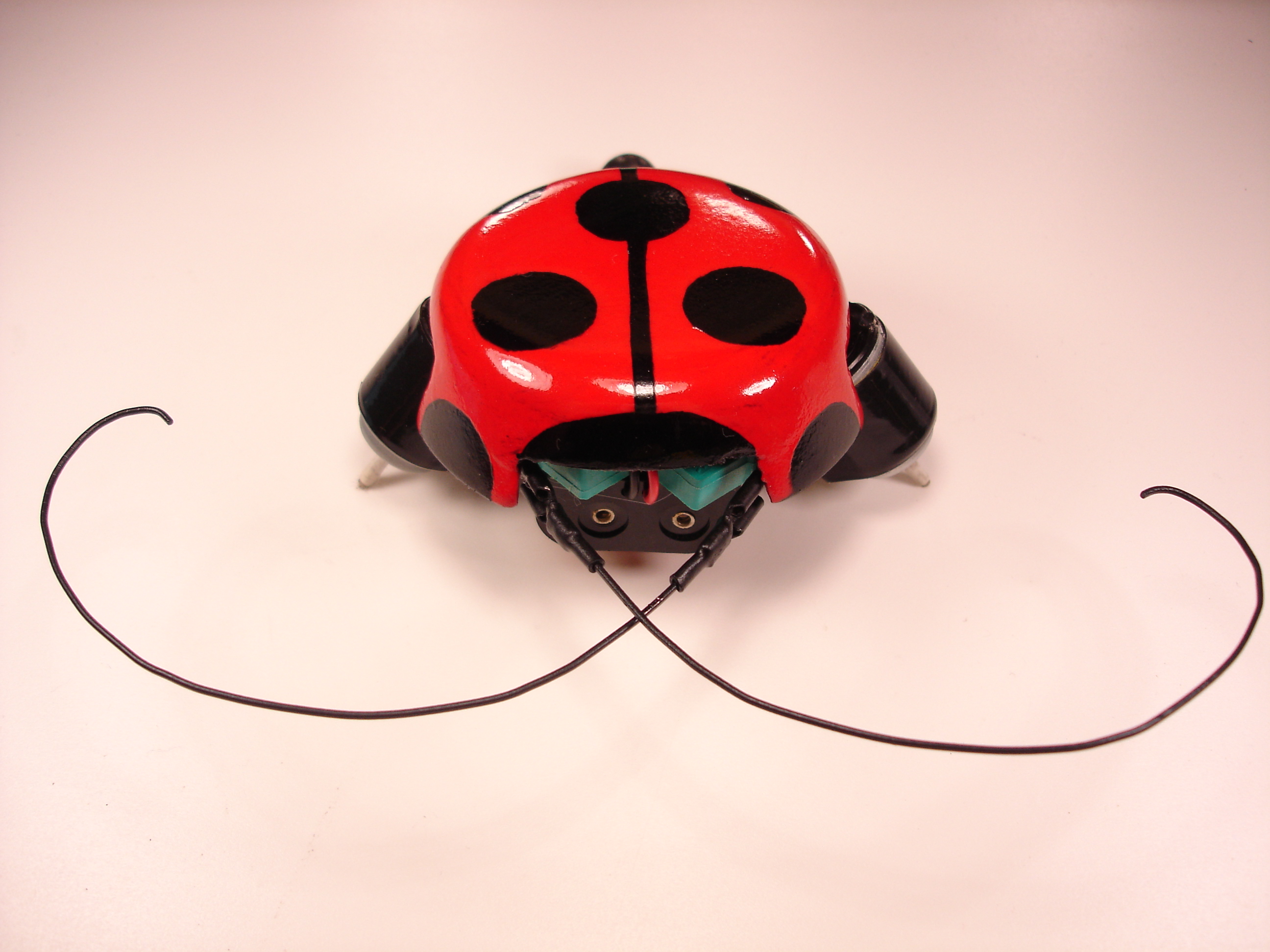 beetle_robot_v2_2007_MAKE_ 117.jpg