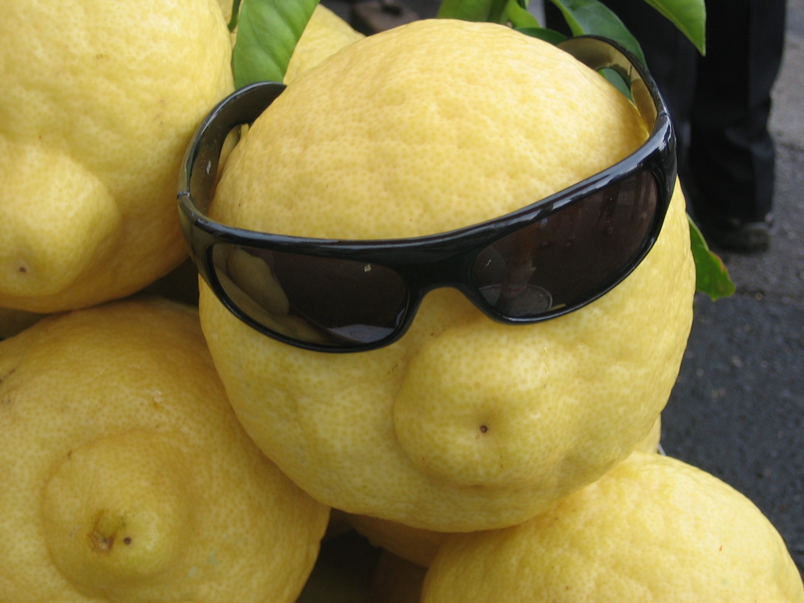 big lemons.jpg