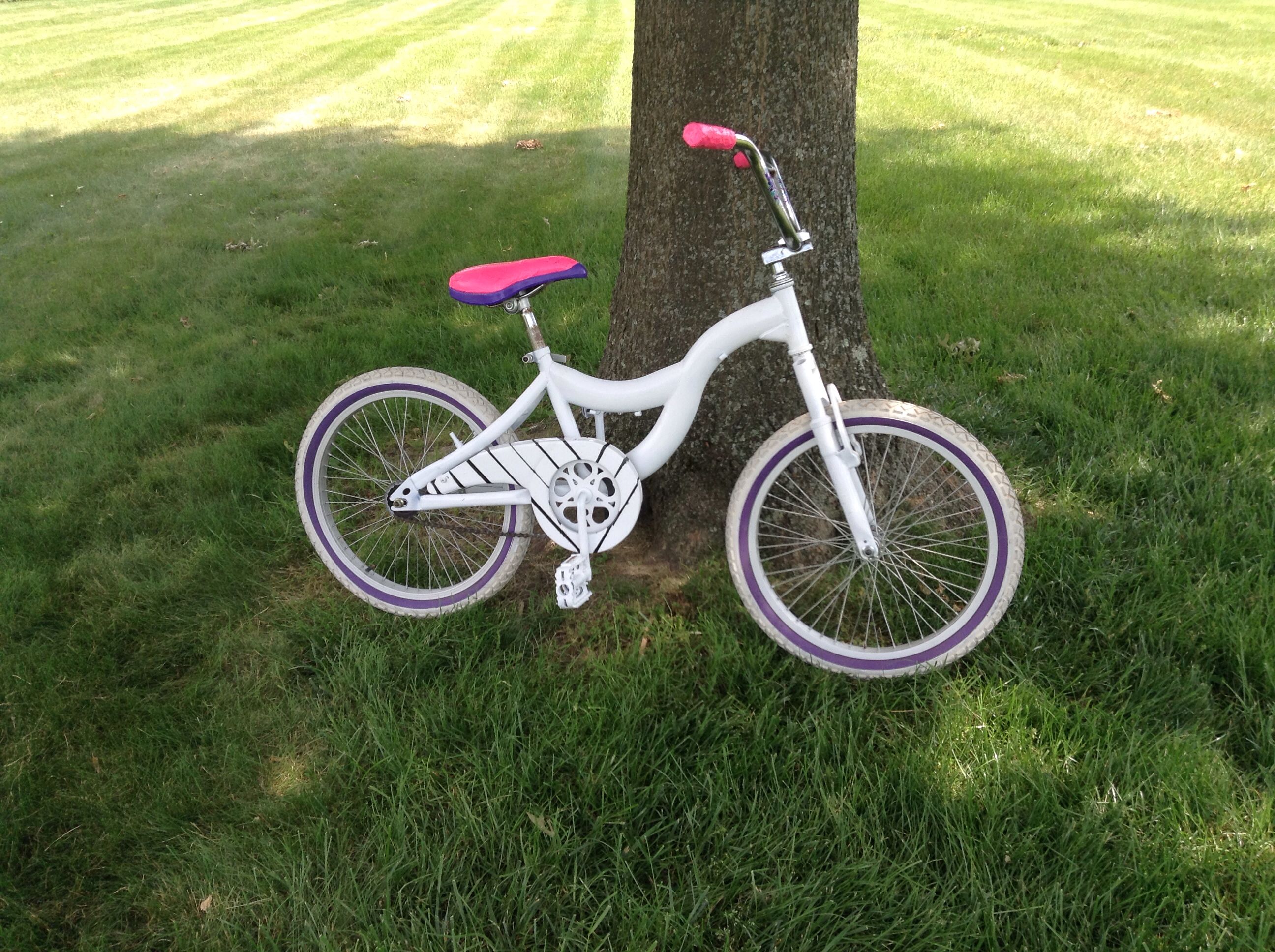 bike resfinal2.jpg