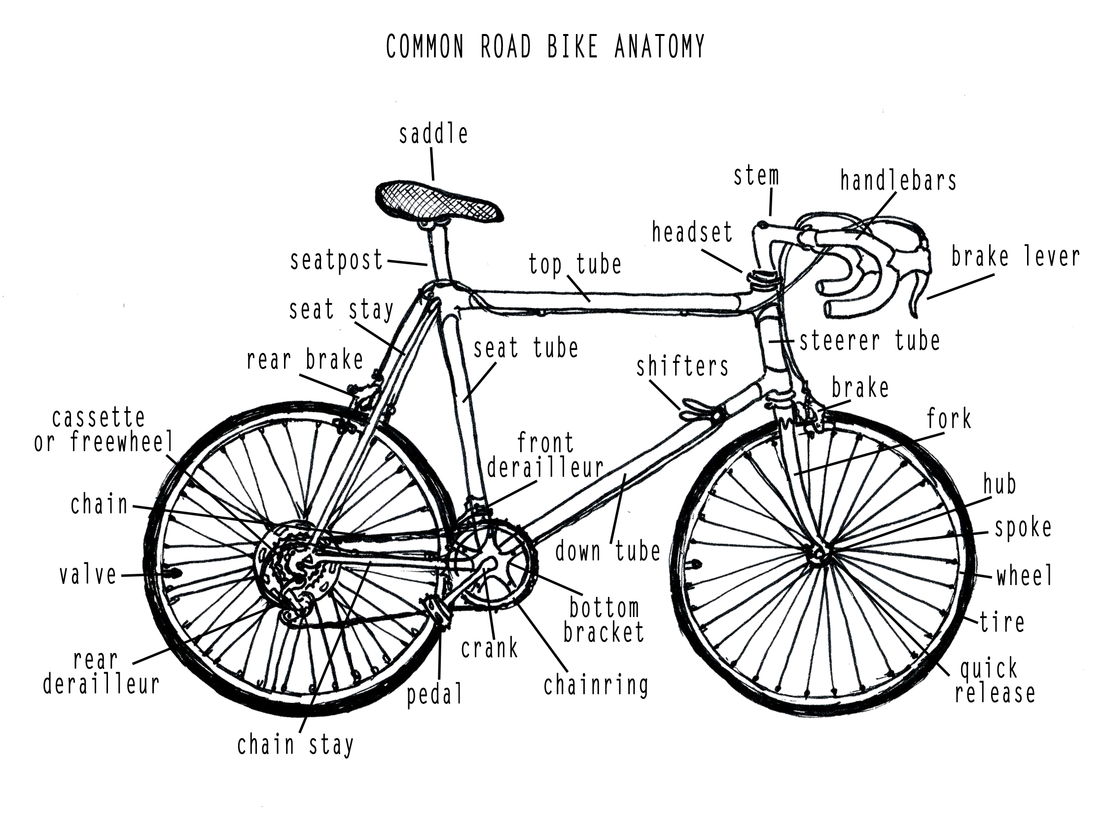 bikediagram.jpg