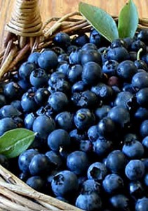 bilberry-wine-recipe.jpg