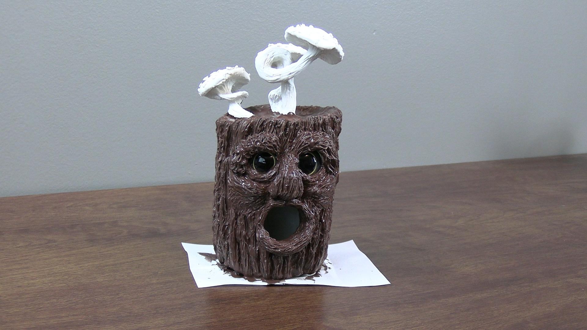 bird house open mouth trunk 105.jpg