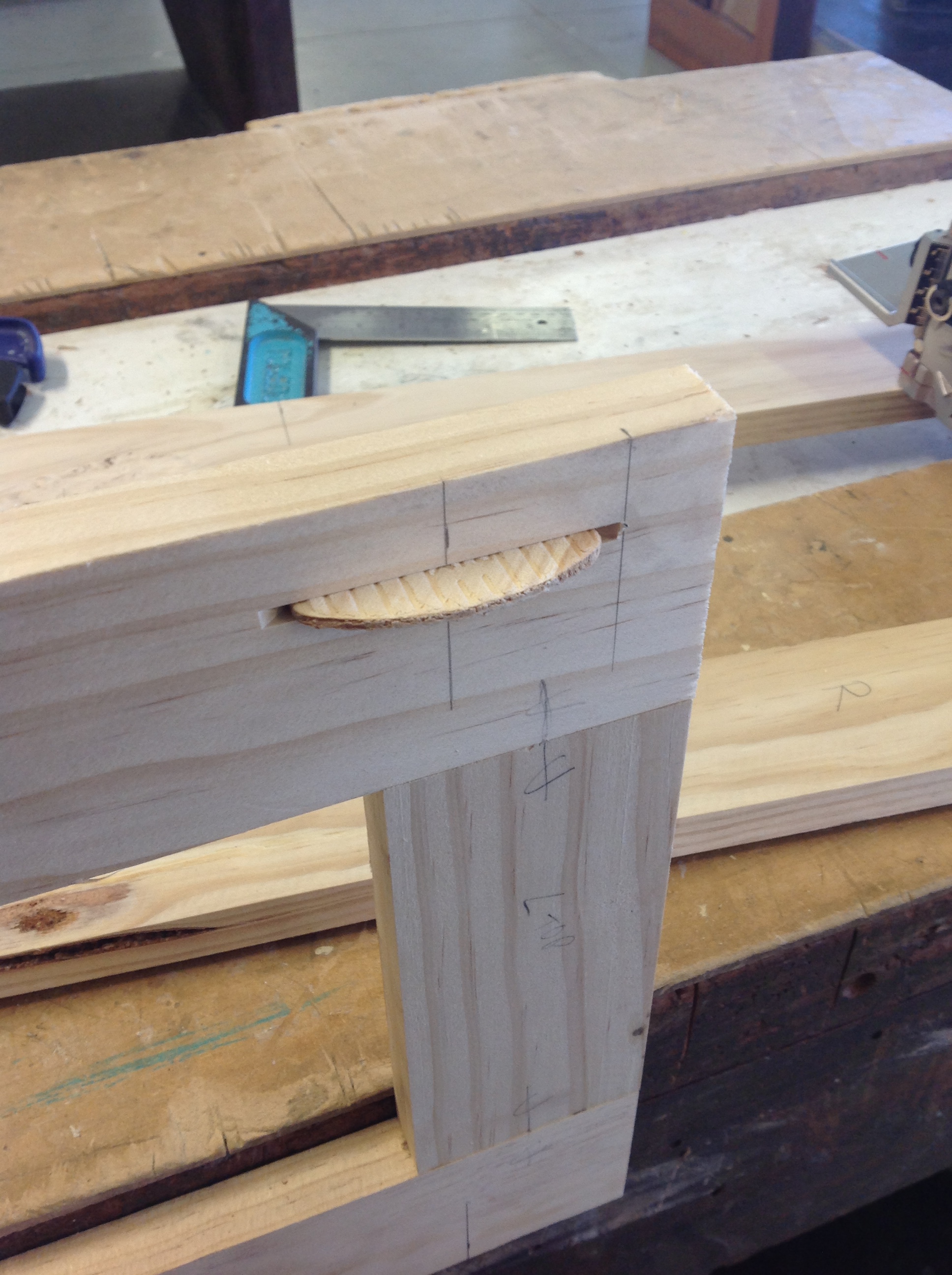 biscuit slot cut for long rail 20 mm below top edge.jpeg