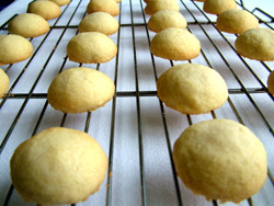 biscuit-recipe-10.jpg