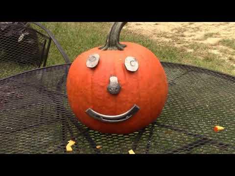 black smithing face for pumpkin