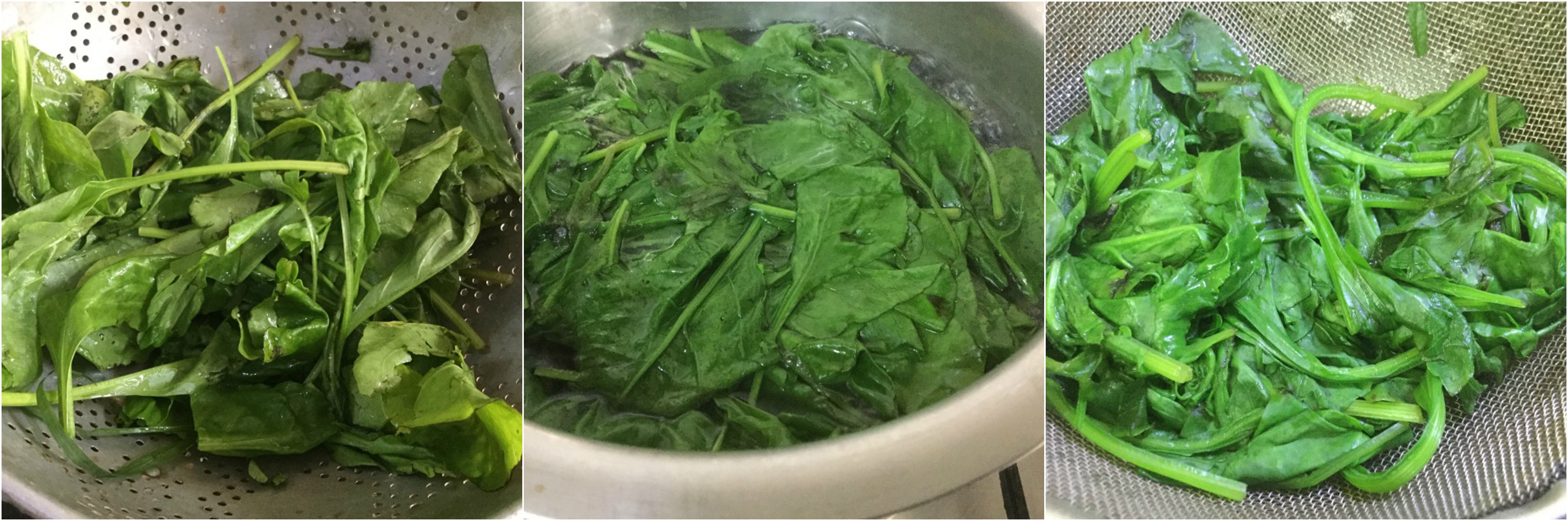 blanched spinach collage.jpg