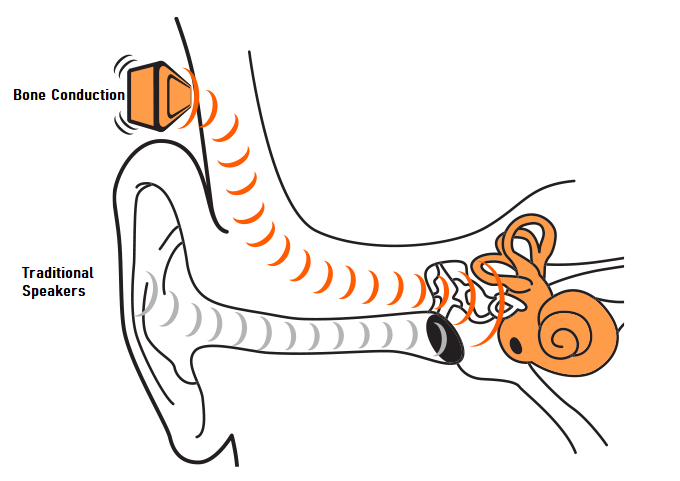 bone conduction.png