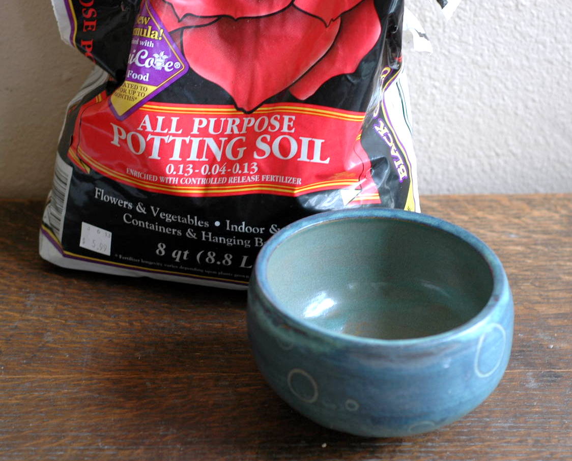 bowl and soil.JPG