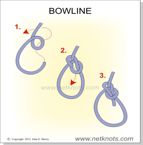 bowline.jpg