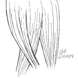 braid2.jpg