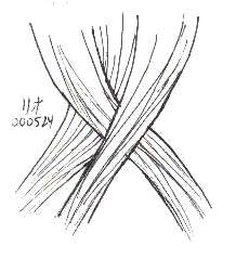 braid3.jpg