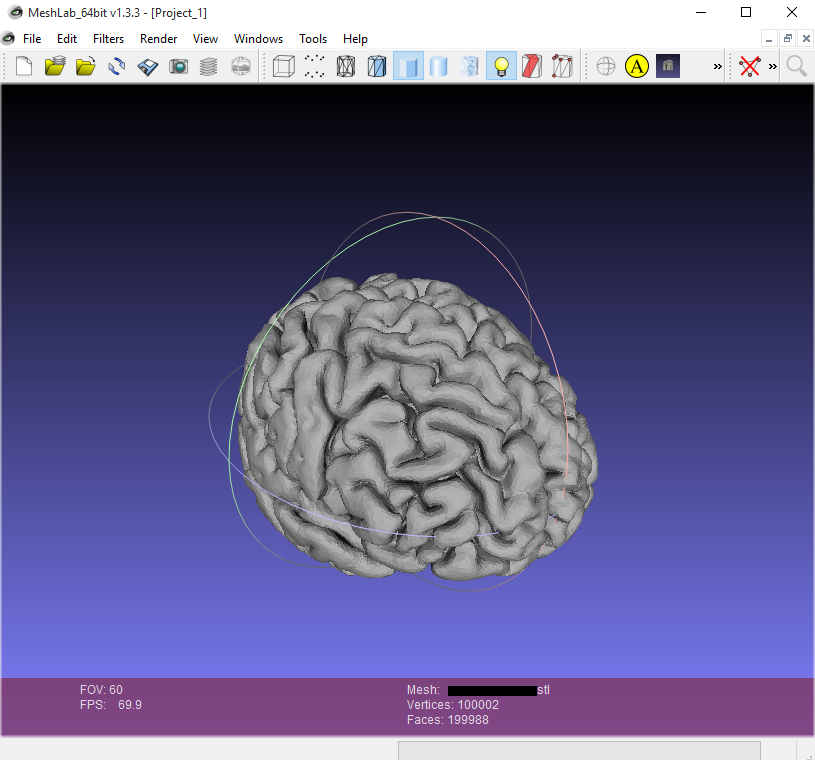 brain_mesh.PNG