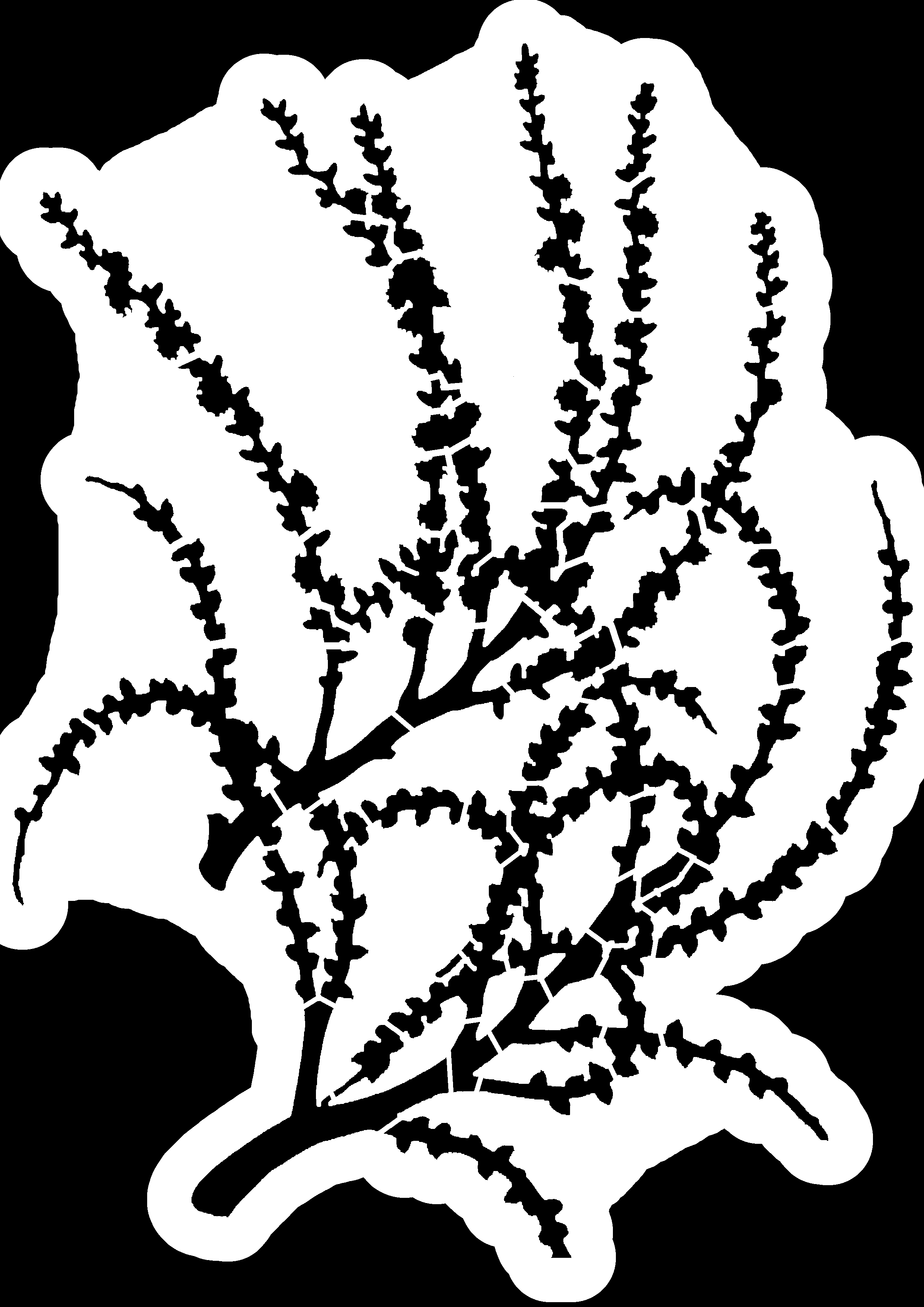 branch_transparent.png