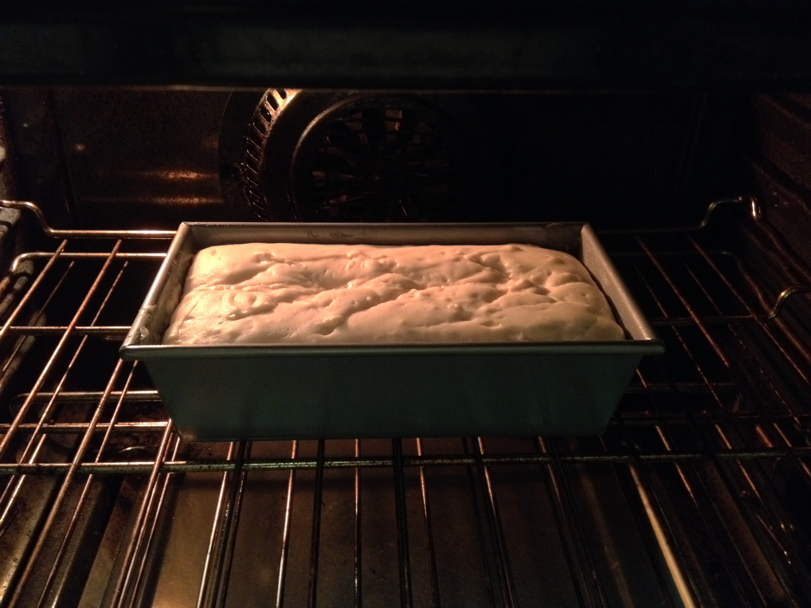 bread - ready to bake.jpg