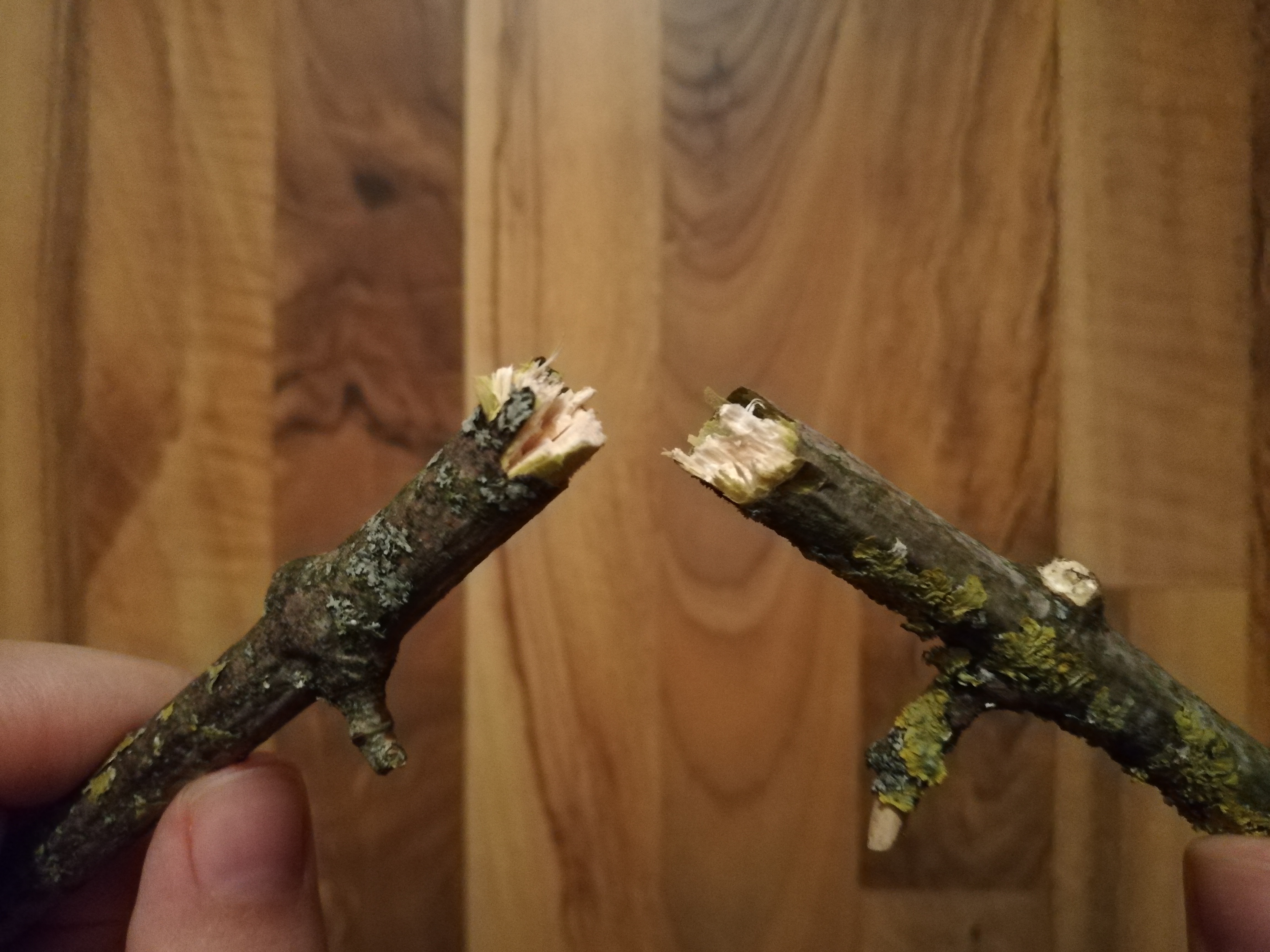 break stick.jpg