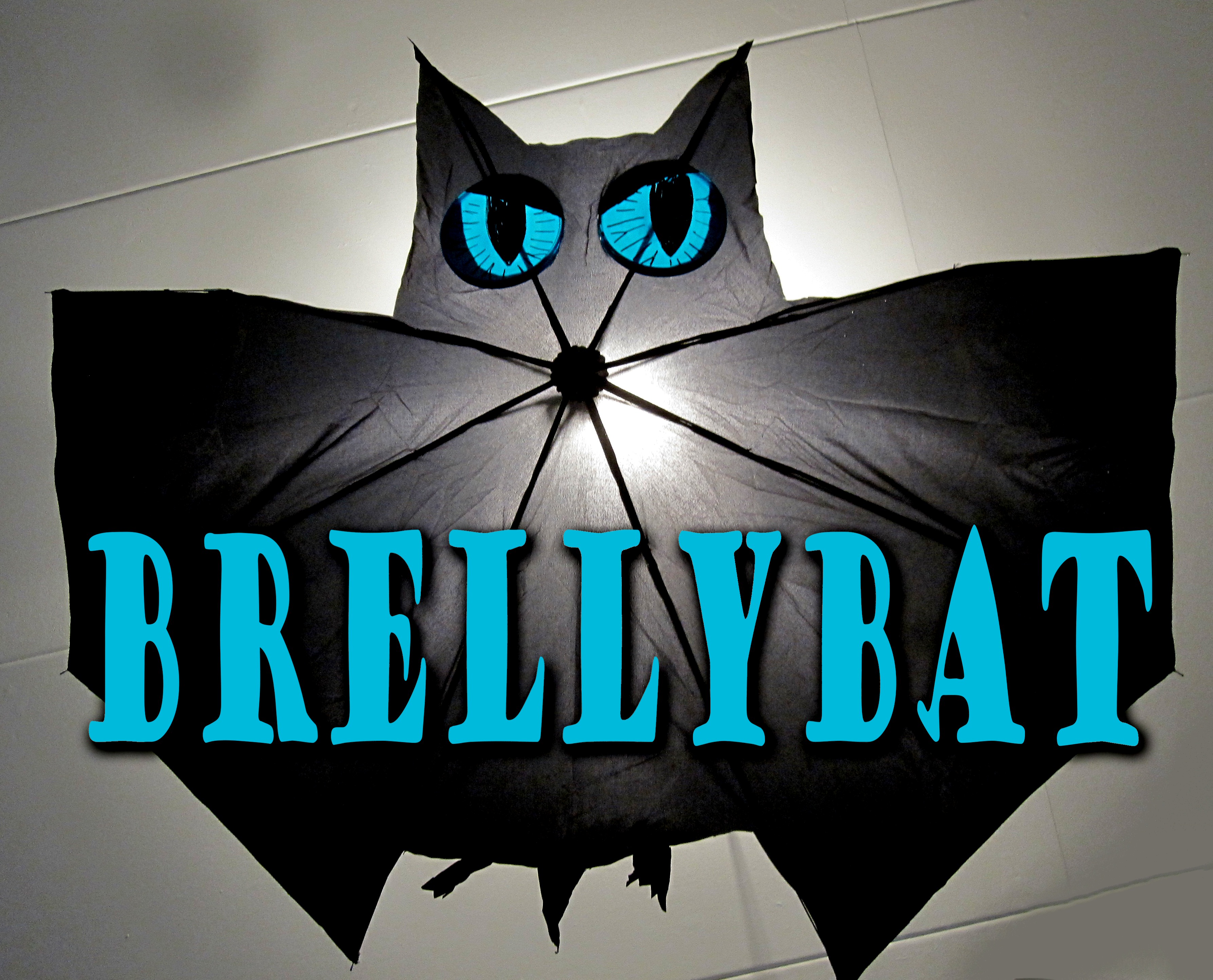 brellybat2.JPG